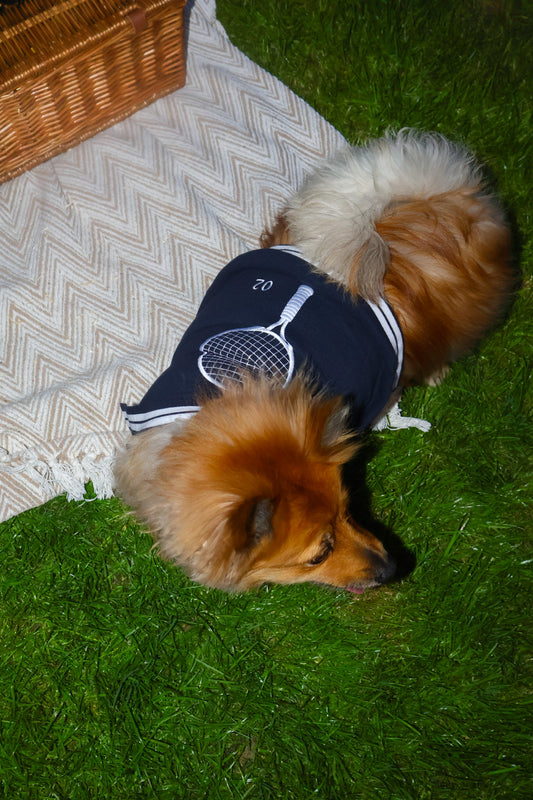 The Founding Club Dog Polo